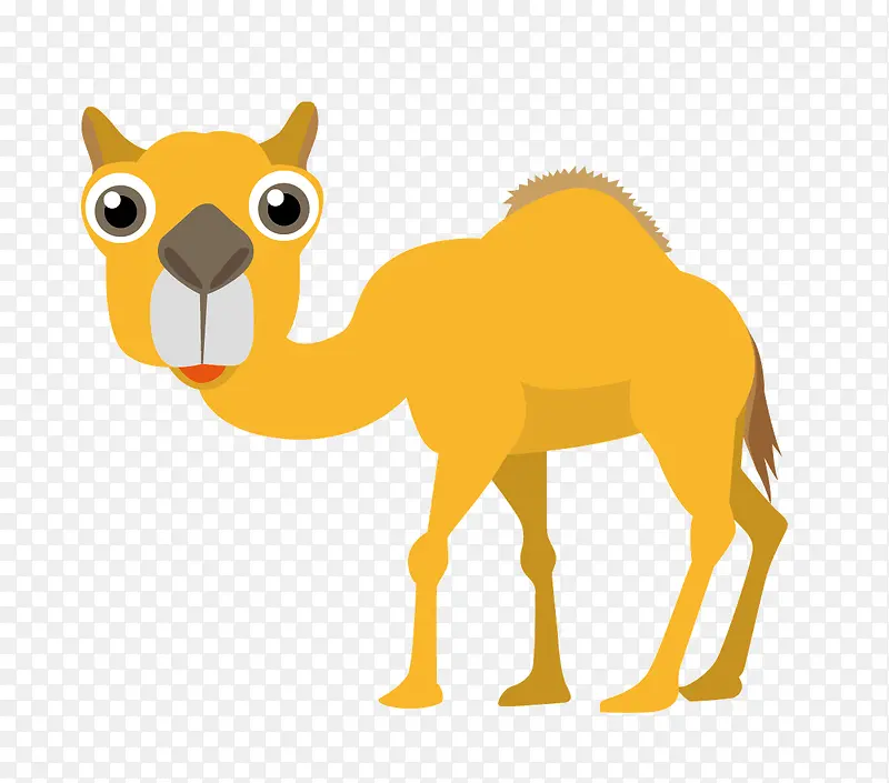 卡通手绘可爱骆驼