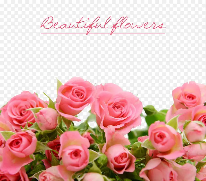浪漫粉色玫瑰花束
