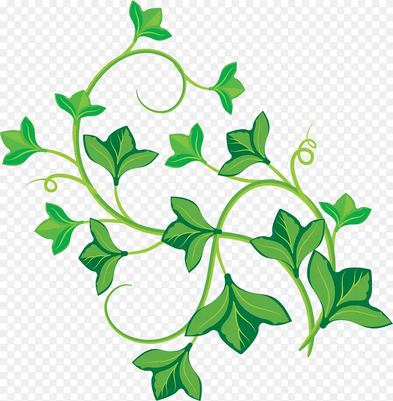 绿色树叶装饰图案