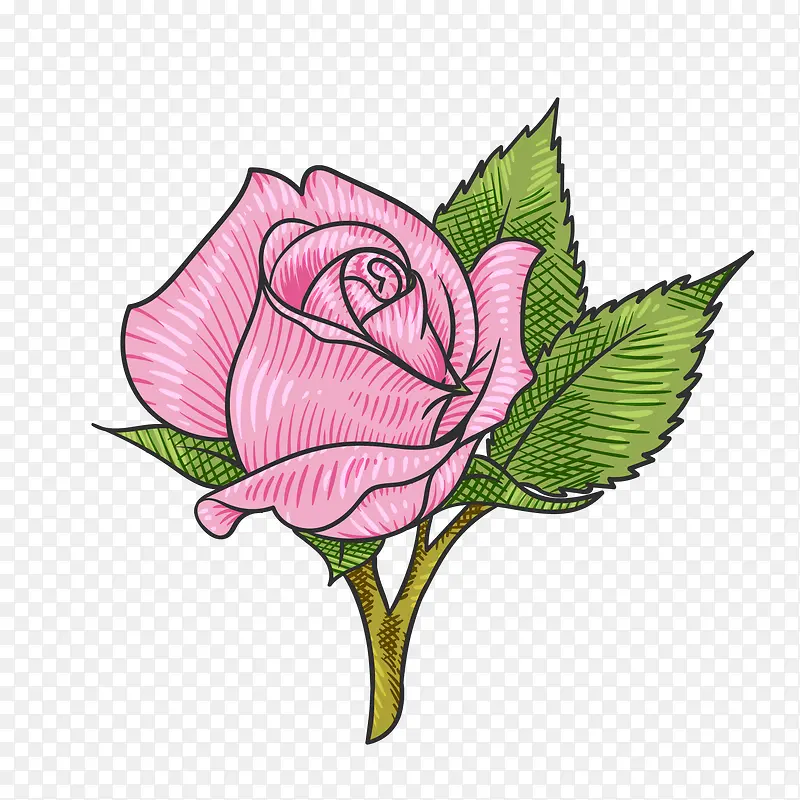 粉色玫瑰花矢量图