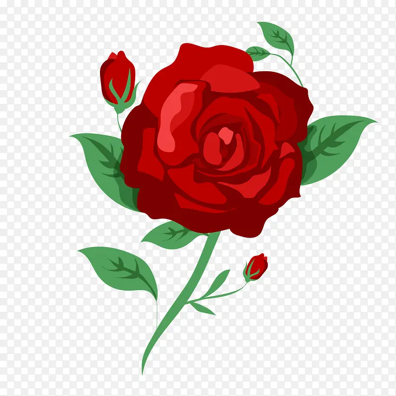 红色玫瑰花植物矢量图