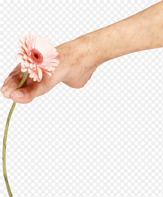 拾花美脚