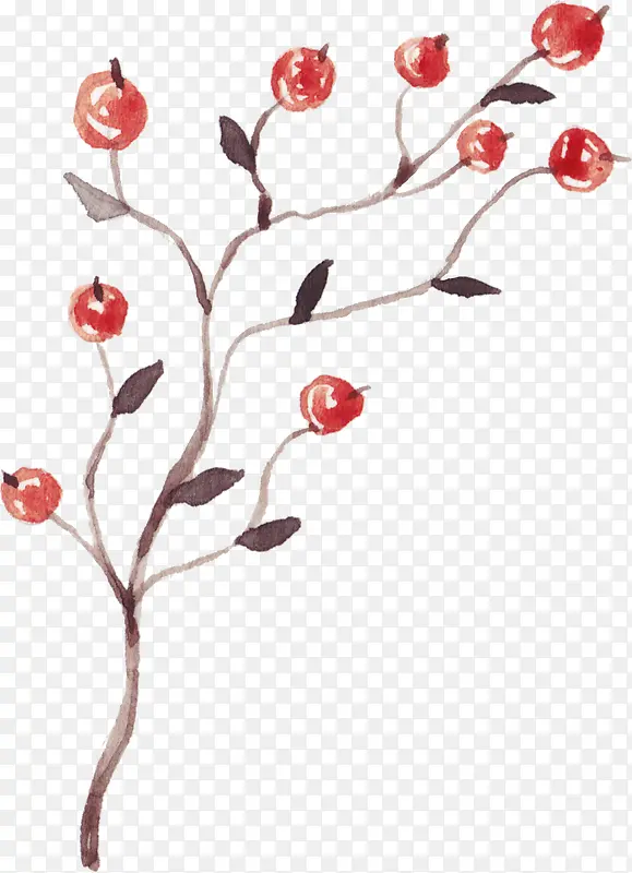 彩绘枝干上的红果果