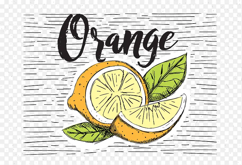 彩绘水果橘子