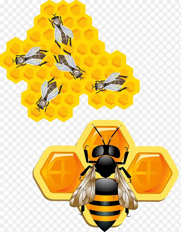 3D蜜蜂