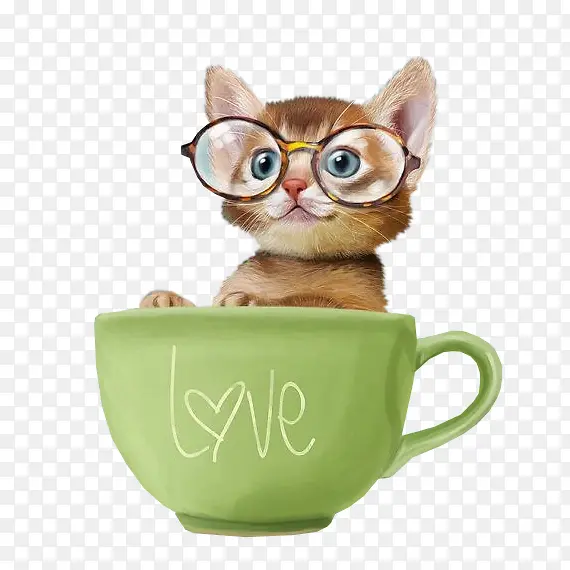 可爱茶杯猫