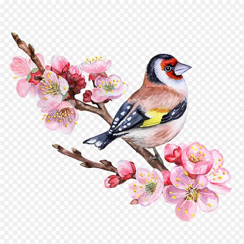 卡通手绘美丽的桃花小鸟