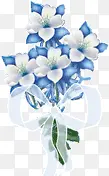 白蓝色花束