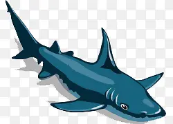 卡通手绘海底蓝色卡通鲨鱼插画