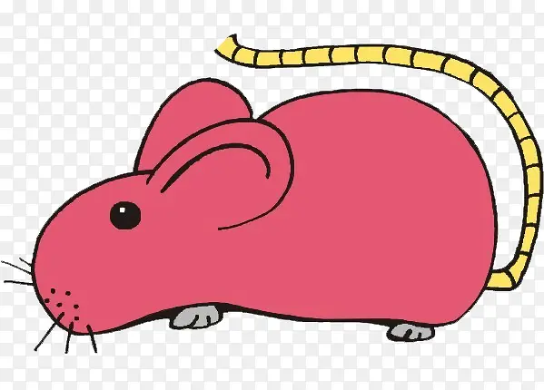 粉色的小老鼠