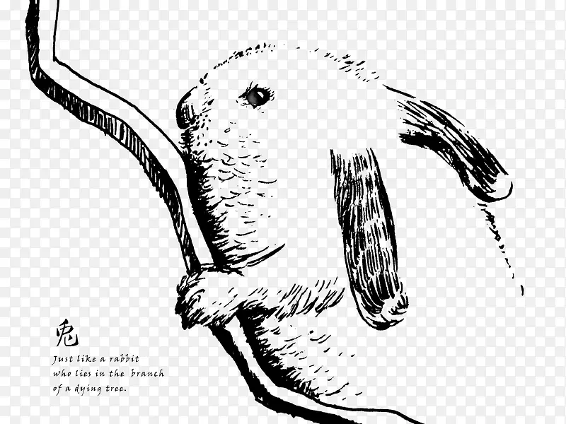 插画 淡雅 手绘 素色 兔子