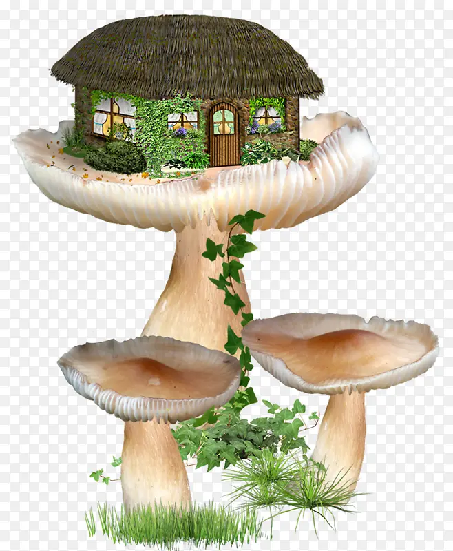 建在蘑菇上的房子PNG图片素材下载_图片编号7750464-PNG素材网