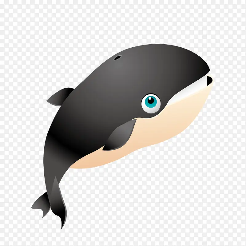 黑色大鲨鱼