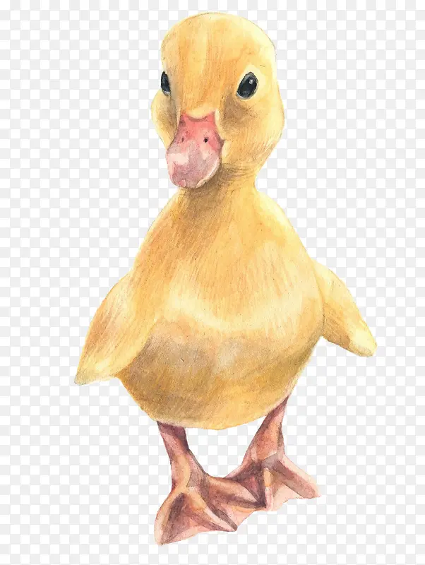 手绘卡通可爱黄色鸭子