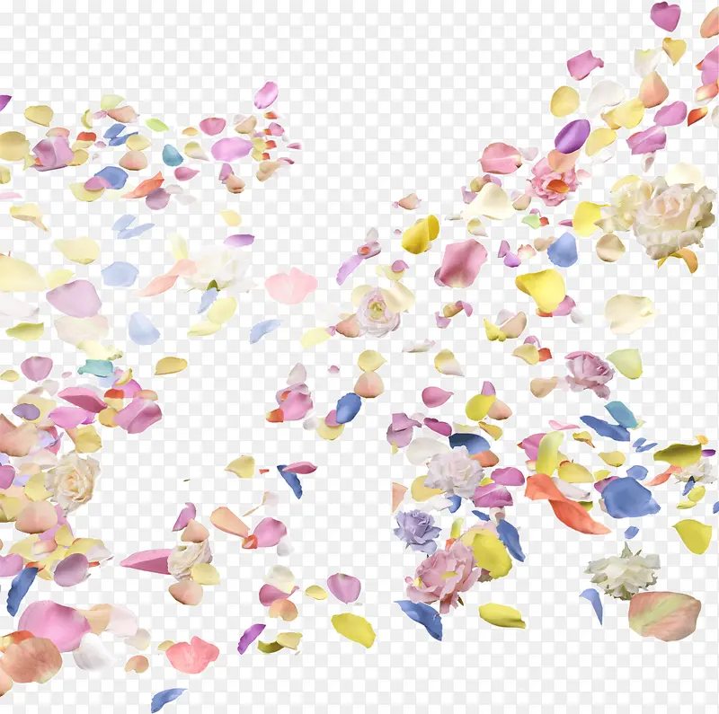 漂浮花瓣