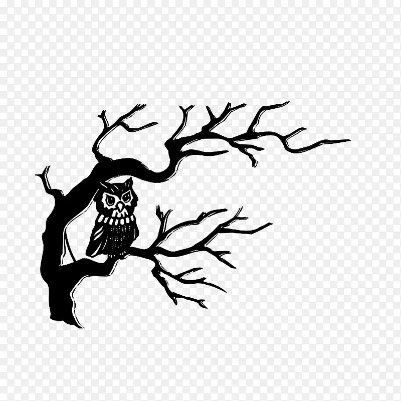 枯树枝上的猫头鹰