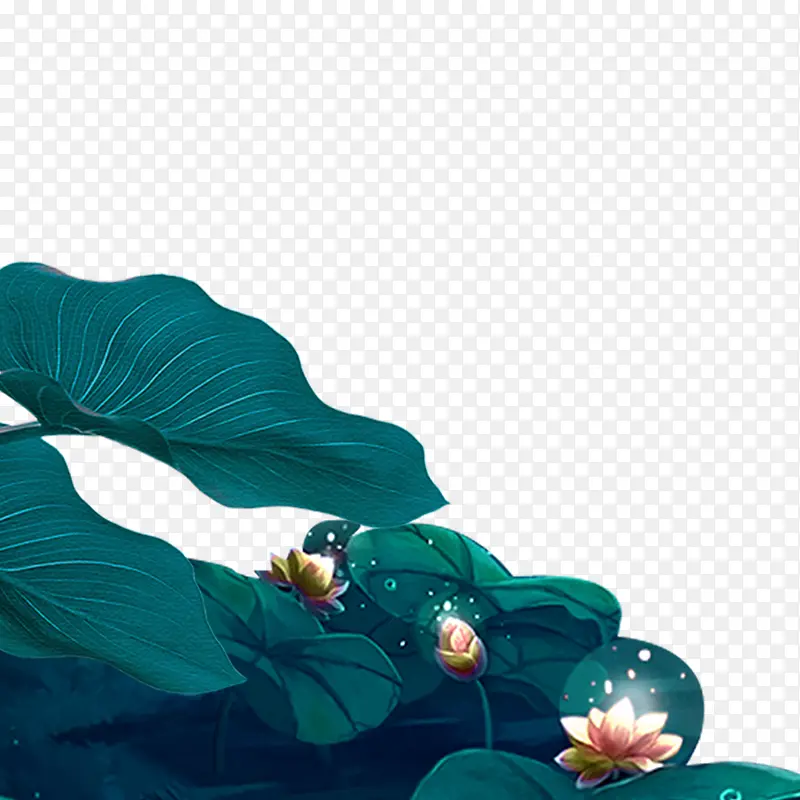 荷花素材