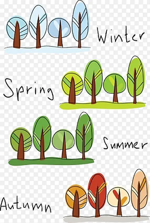 大树四季的生长过程