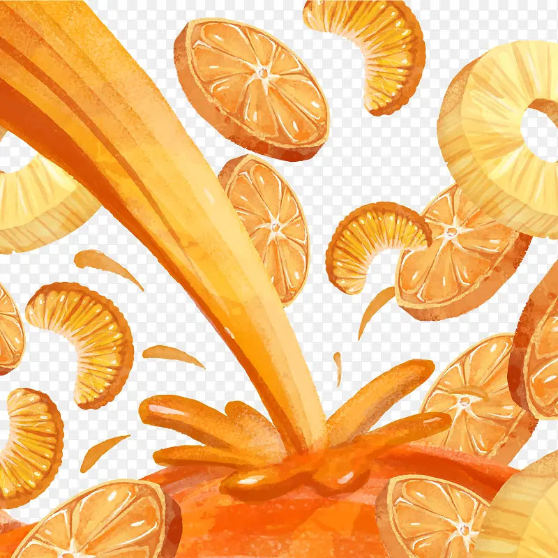 美味橙子和橙汁矢量图