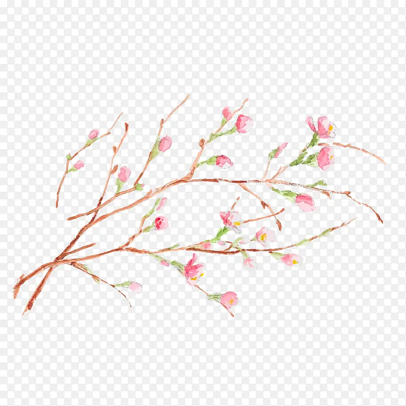 水彩绘粉色花蕾枝矢量图