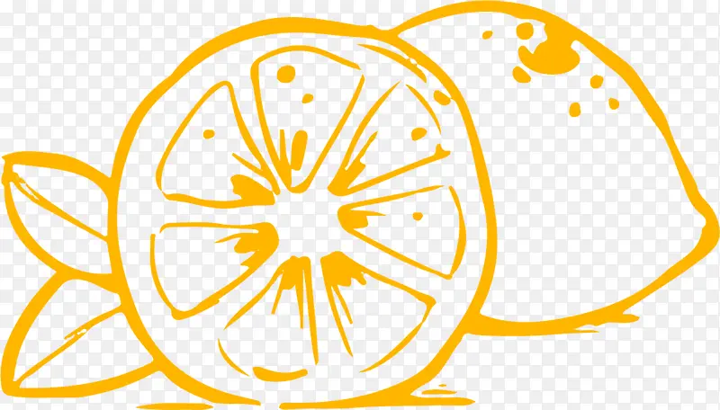 夏季手绘橙色橙子