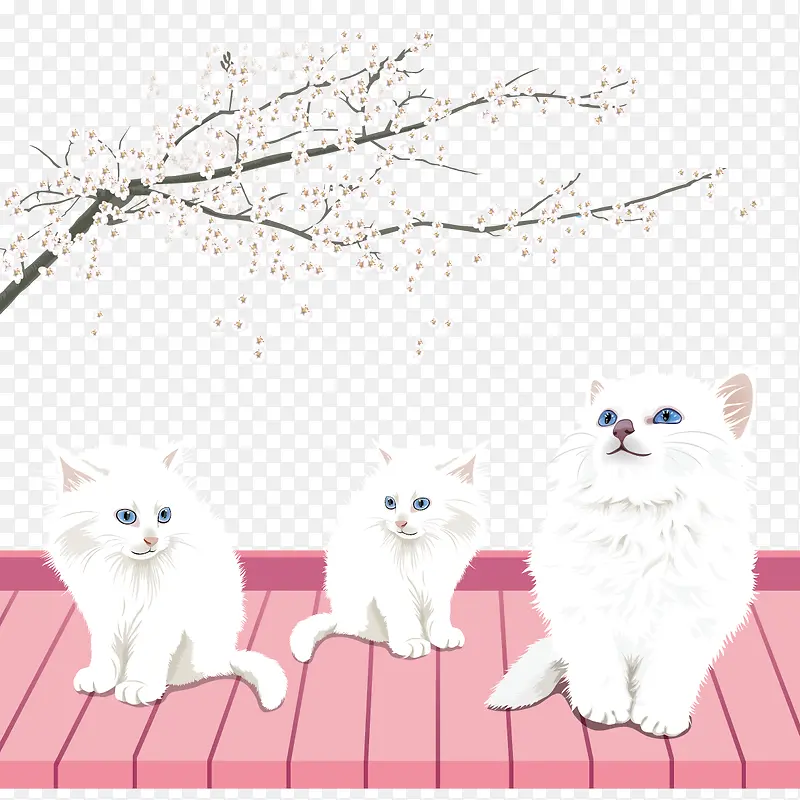 樱花白猫