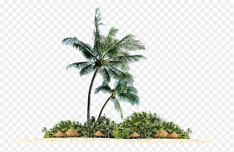 夏天免抠椰树海滩海岛免费旅游