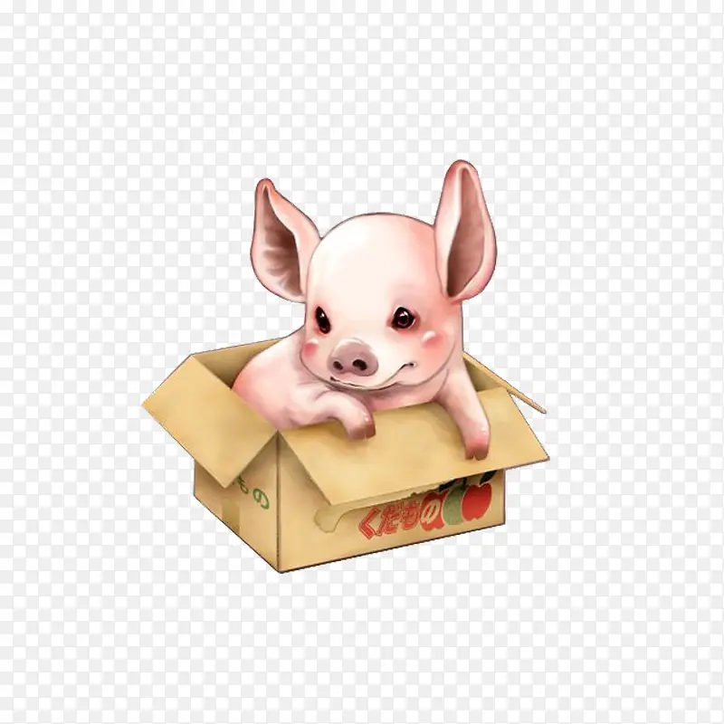 箱子里的小猪