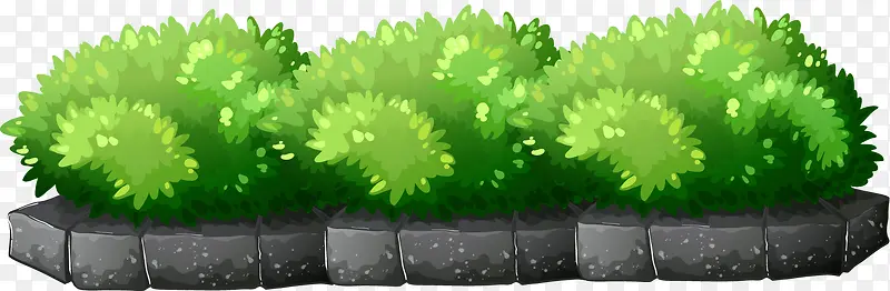 绿色草丛石块