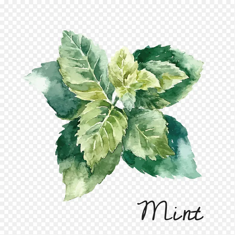 mint水墨花朵PNG图片素材下载_图片编号7782562-PNG素材网