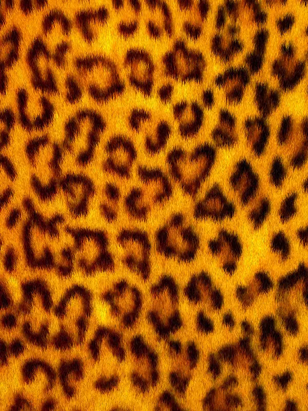 黄色豹纹背景