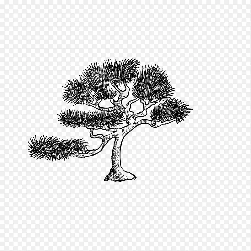 松树PNG图片素材下载_图片编号7784158-PNG素材网