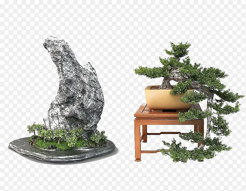 盆栽PNG图片素材下载_图片编号7785516-PNG素材网
