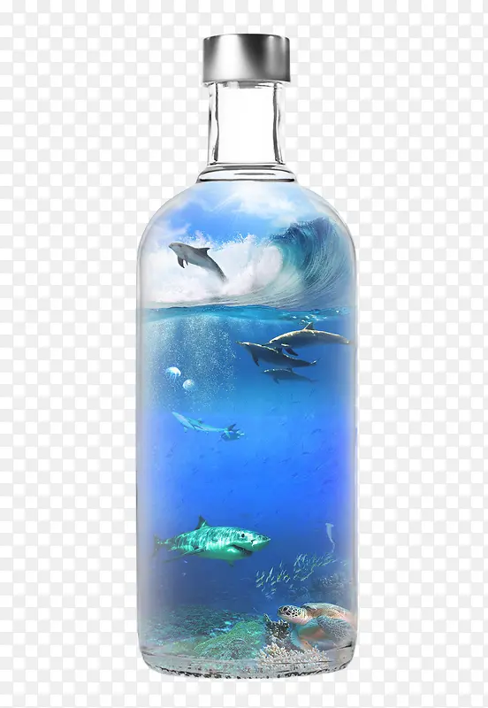 瓶子装鲨鱼