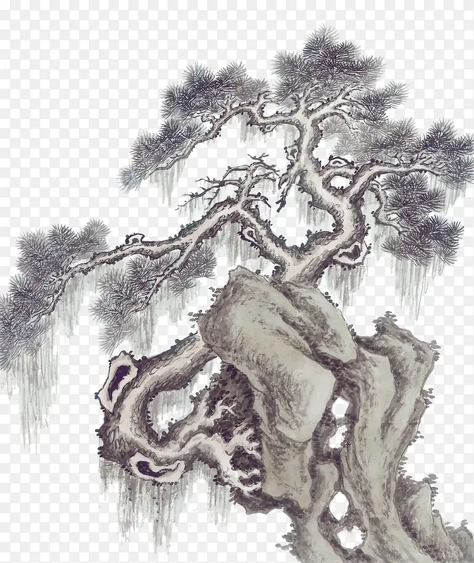 国画古松图PNG图片素材下载_图片编号7789577-PNG素材网