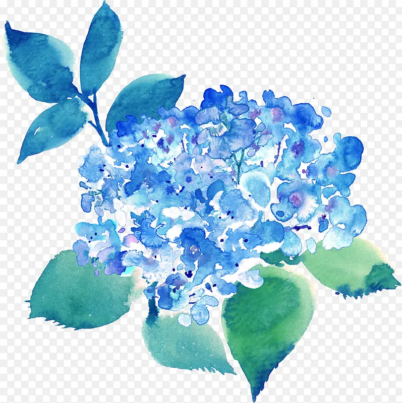 蓝色花簇
