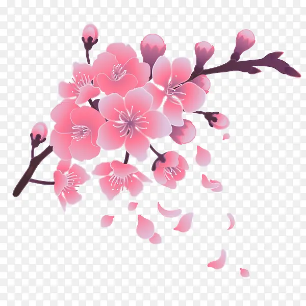 文艺清新花草海报设计装饰樱花