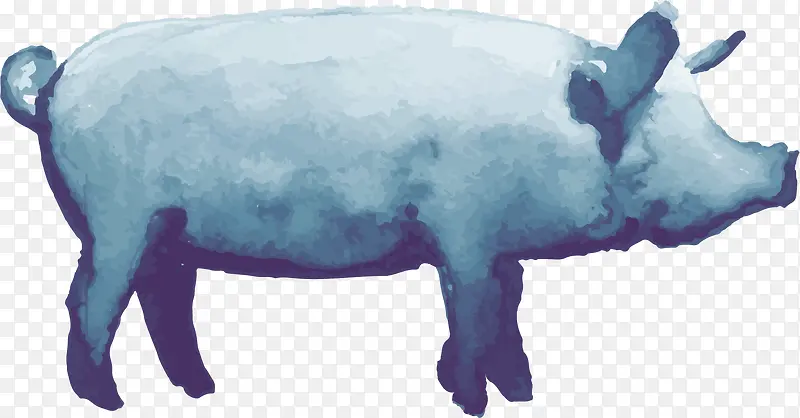 创意水彩野猪插画装饰