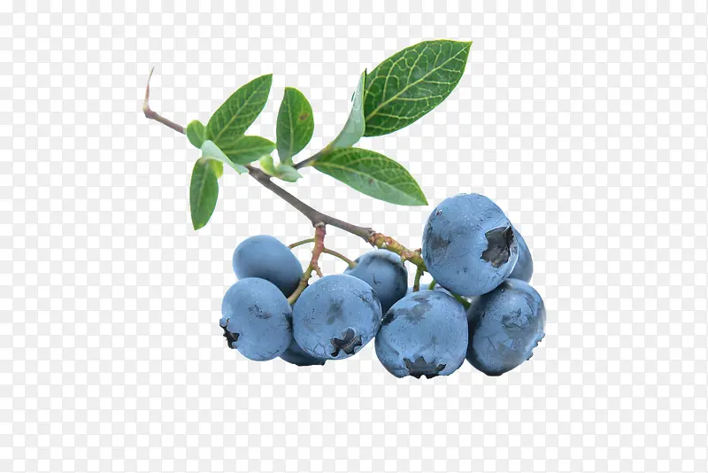 新鲜蓝莓