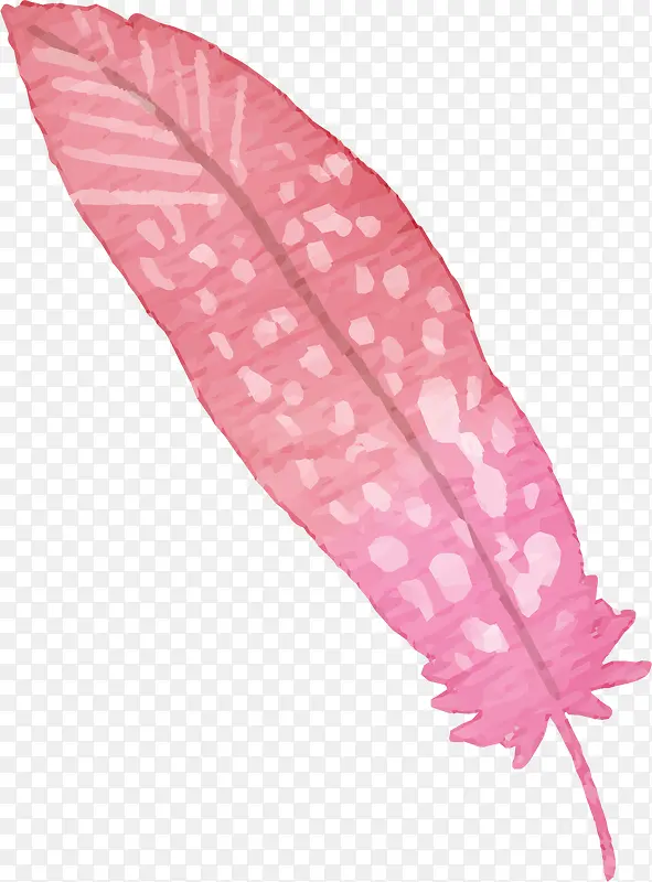粉红色水彩手绘羽毛