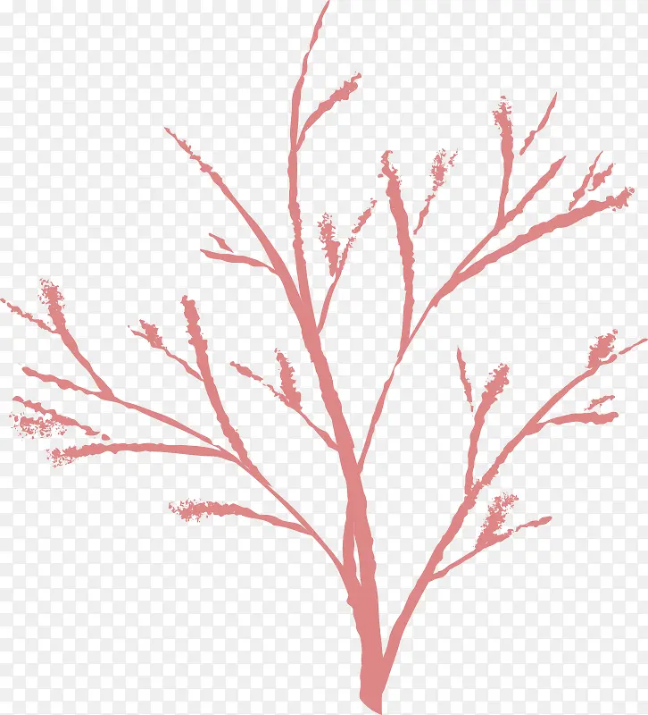 红色的冬季无树叶的树枝