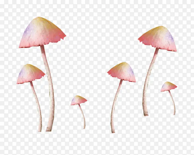 粉色卡通蘑菇装饰图案
