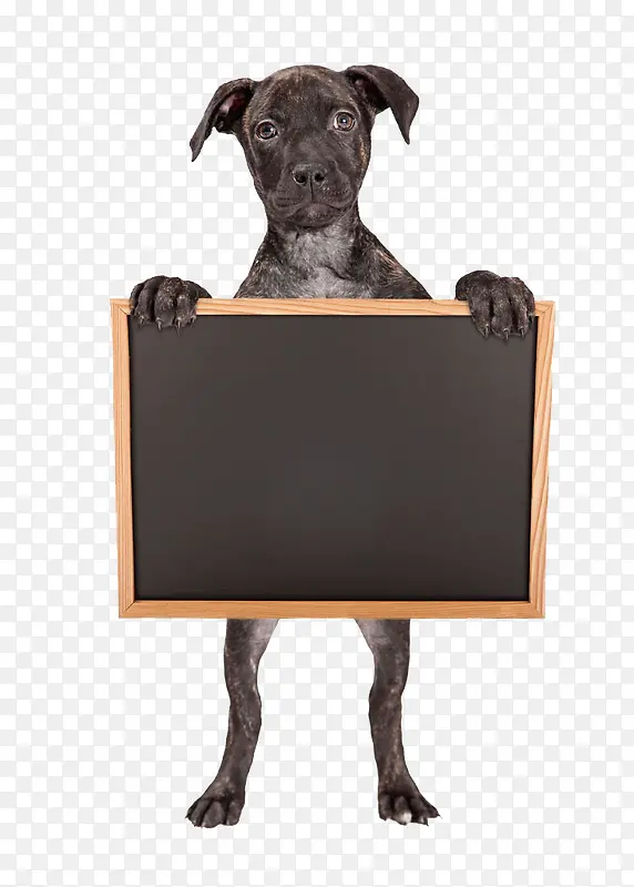 狗与黑板清免扣素材