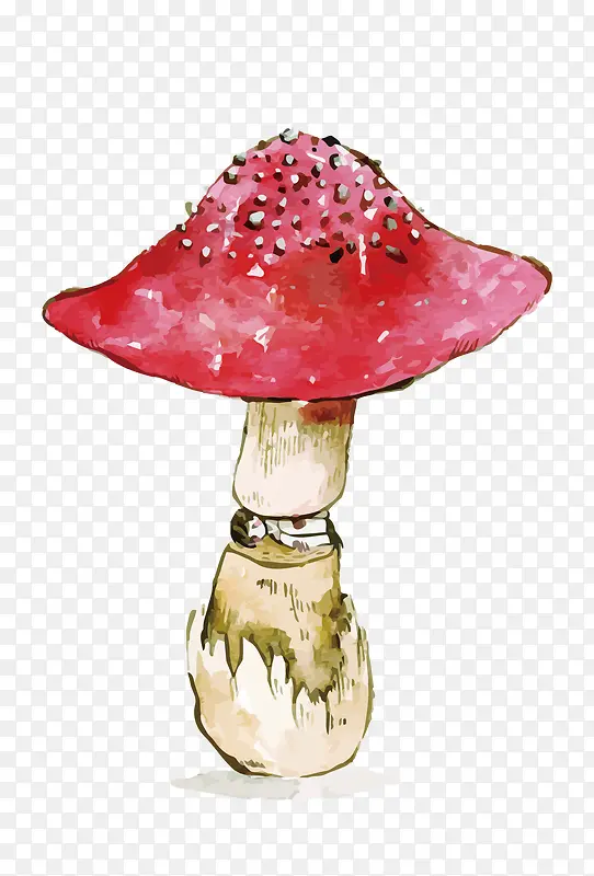 矢量红蘑菇