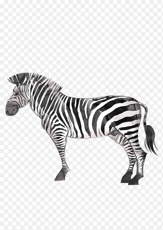黑白手绘斑马动物