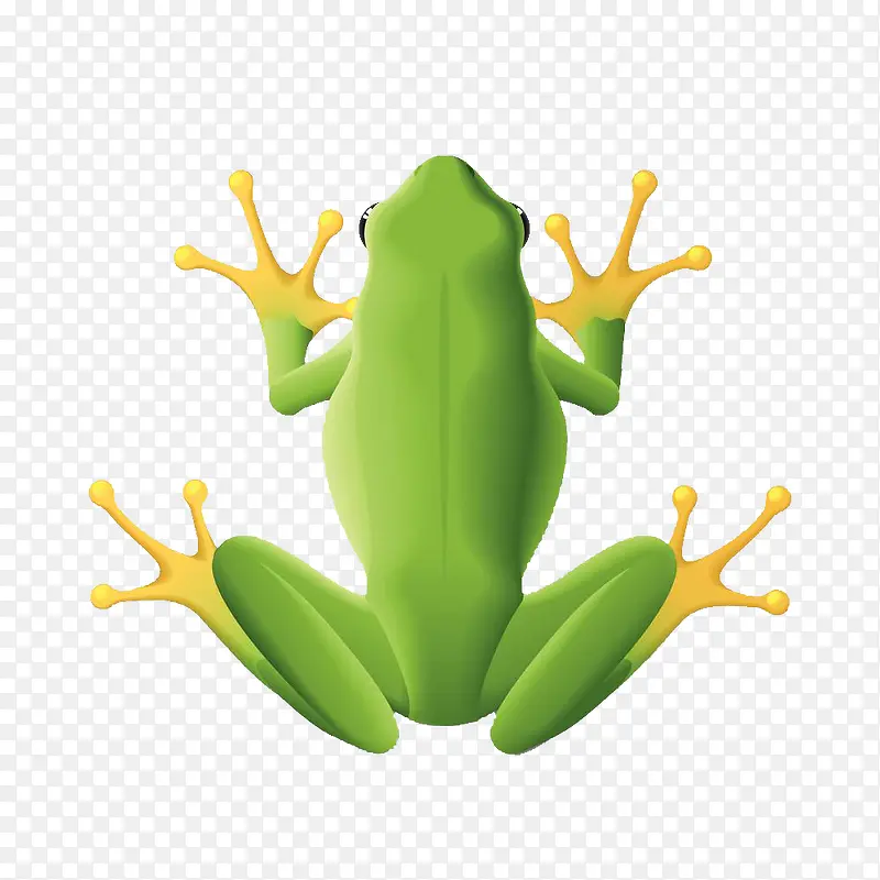 卡通绿色青蛙树蛙