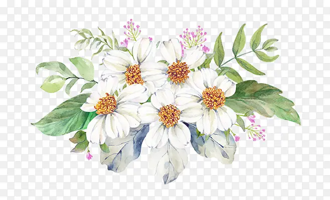 白色唯美鲜花