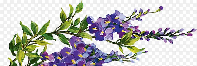 一簇紫色的鲜花