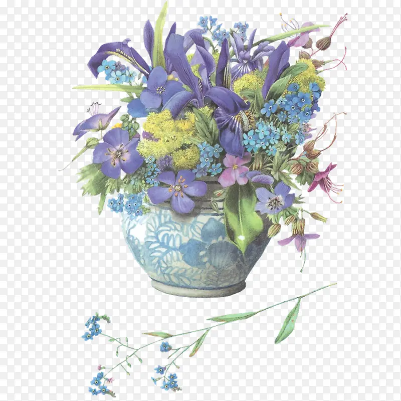 花瓶里紫色的花朵插画