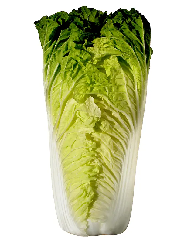 食物图案卡通食物图片 蔬菜 白菜